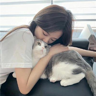 绿鸡蛋和绿火腿第二季